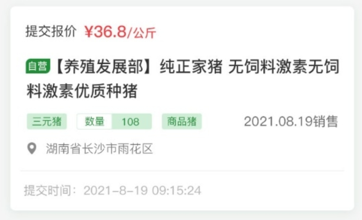云邁科技生豬競價系統(tǒng):開啟生豬交易新時代?